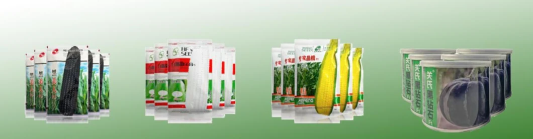 Hybrid Color Sweet Glutinous Rice Corn Seeds