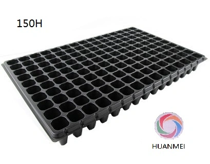 PS Seed Tray with 144 Counts Vegetable Flower Forestry Seedling