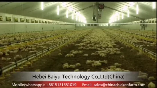 鶏/ブロイラー/ブリーダー/家畜用自動農業養鶏装置