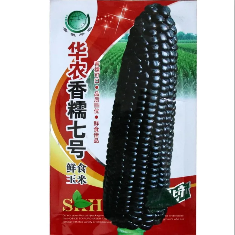 黒甘いもち米トウモロコシの種